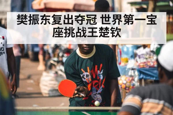 樊振东复出夺冠 世界第一宝座挑战王楚钦