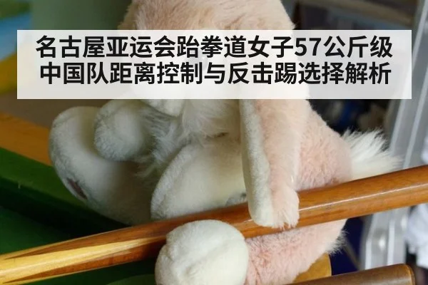 名古屋亚运会跆拳道女子57公斤级中国队距离控制与反击踢选择解析